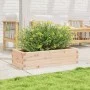 Jardinera de madera maciza de pino 90x40x23 cm de , Maceteros y jardineras - Ref: Foro24-847223, Precio: 66,86 €, Descuento: %