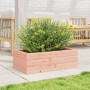 Jardinera de madera maciza Douglas 70x40x23 cm de , Maceteros y jardineras - Ref: Foro24-847221, Precio: 50,40 €, Descuento: %