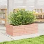 Jardinera de madera maciza Douglas 70x40x23 cm de , Maceteros y jardineras - Ref: Foro24-847221, Precio: 49,86 €, Descuento: %
