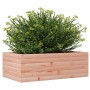 Jardinera de madera maciza Douglas 70x40x23 cm de , Maceteros y jardineras - Ref: Foro24-847221, Precio: 50,40 €, Descuento: %