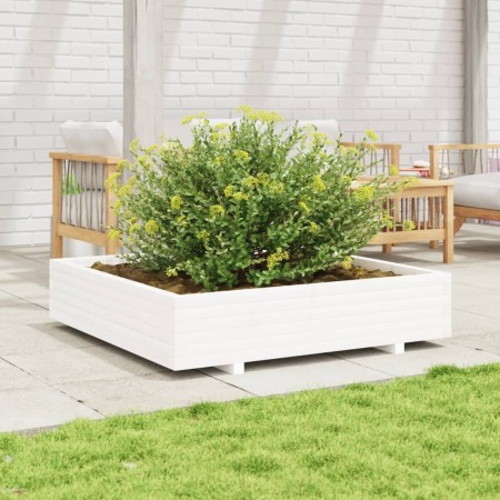 Jardinera de madera maciza de pino blanca 110x110x26,5 cm de , Maceteros y jardineras - Ref: Foro24-847324, Precio: 143,74 €,...