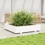 Jardinera de madera maciza de pino blanca 110x110x26,5 cm de , Maceteros y jardineras - Ref: Foro24-847324, Precio: 142,24 €,...