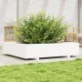 Jardinera de madera maciza de pino blanca 110x110x26,5 cm de , Maceteros y jardineras - Ref: Foro24-847324, Precio: 142,24 €,...
