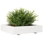Jardinera de madera maciza de pino blanca 110x110x26,5 cm de , Maceteros y jardineras - Ref: Foro24-847324, Precio: 142,24 €,...
