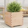 Jardinera madera maciza de pino 50x50x49,5 cm de , Maceteros y jardineras - Ref: Foro24-847353, Precio: 88,64 €, Descuento: %