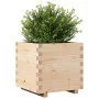 Jardinera madera maciza de pino 50x50x49,5 cm de , Maceteros y jardineras - Ref: Foro24-847353, Precio: 88,64 €, Descuento: %