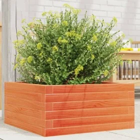 Jardinera de madera maciza de pino marrón cera 50x50x23 cm de , Maceteros y jardineras - Ref: Foro24-847185, Precio: 63,45 €,...