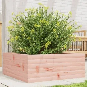 Jardinera de madera maciza de abeto Douglas 60x60x23 cm de , Maceteros y jardineras - Ref: Foro24-847191, Precio: 65,80 €, De...
