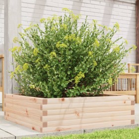 Jardinera de madera maciza de pino 80x80x23 cm de , Maceteros y jardineras - Ref: Foro24-847198, Precio: 65,22 €, Descuento: %