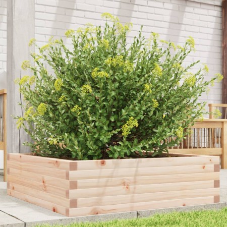 Jardinera de madera maciza de pino 80x80x23 cm de , Maceteros y jardineras - Ref: Foro24-847198, Precio: 65,22 €, Descuento: %