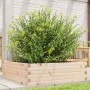 Jardinera de madera maciza de pino 80x80x23 cm de , Maceteros y jardineras - Ref: Foro24-847198, Precio: 64,54 €, Descuento: %