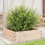 Jardinera de madera maciza de pino 80x80x23 cm de , Maceteros y jardineras - Ref: Foro24-847198, Precio: 64,54 €, Descuento: %