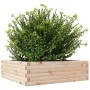 Jardinera de madera maciza de pino 80x80x23 cm de , Maceteros y jardineras - Ref: Foro24-847198, Precio: 64,54 €, Descuento: %