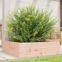 Jardinera de madera maciza Douglas 80x80x23 cm de , Maceteros y jardineras - Ref: Foro24-847201, Precio: 82,90 €, Descuento: %
