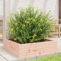 Jardinera de madera maciza Douglas 80x80x23 cm de , Maceteros y jardineras - Ref: Foro24-847201, Precio: 83,97 €, Descuento: %