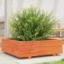 Jardinera de madera maciza de pino marrón cera 80x80x26,5 cm de , Maceteros y jardineras - Ref: Foro24-847310, Precio: 99,80 ...
