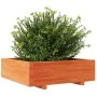 Jardinera de madera maciza de pino marrón cera 80x80x26,5 cm de , Maceteros y jardineras - Ref: Foro24-847310, Precio: 99,80 ...
