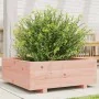 Jardinera de madera maciza Douglas 70x70x26,5 cm de , Maceteros y jardineras - Ref: Foro24-847306, Precio: 94,63 €, Descuento: %