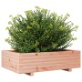 Jardinera de madera maciza Douglas 80x80x26,5 cm de , Maceteros y jardineras - Ref: Foro24-847346, Precio: 86,25 €, Descuento: %