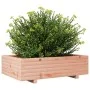 Jardinera de madera maciza Douglas 80x80x26,5 cm de , Maceteros y jardineras - Ref: Foro24-847346, Precio: 85,38 €, Descuento: %