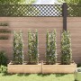 Tutores para tomates 4 unidades acero y PP 116 cm de , Soportes para macetas - Ref: Foro24-3281483, Precio: 64,54 €, Descuent...