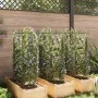 Tutores para tomates 6 unidades acero y PP 116 cm de , Soportes para macetas - Ref: Foro24-3281487, Precio: 65,76 €, Descuent...