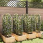 Tutores para tomates 8 unidades acero y PP 116 cm de , Soportes para macetas - Ref: Foro24-3281491, Precio: 126,53 €, Descuen...