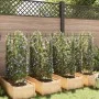 Tutores para tomates 8 unidades acero y PP 116 cm de , Soportes para macetas - Ref: Foro24-3281491, Precio: 87,64 €, Descuent...