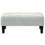 Sofá cama de 2 plazas con taburete terciopelo gris claro de , Sofás - Ref: Foro24-3258098, Precio: 336,03 €, Descuento: %