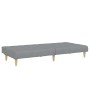 Sofá cama de 2 plazas con taburete tela gris claro de , Sofás - Ref: Foro24-3258085, Precio: 303,96 €, Descuento: %