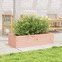 Jardinera madera maciza de abeto Douglas 90x40x23 cm de , Maceteros y jardineras - Ref: Foro24-847226, Precio: 71,51 €, Descu...