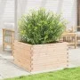 Jardinera madera maciza de pino 80x80x45,5 cm de , Maceteros y jardineras - Ref: Foro24-847258, Precio: 119,64 €, Descuento: %