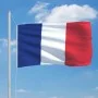 Bandera de Francia 90x150 cm de vidaXL, Banderas y mangas de viento - Ref: Foro24-146046, Precio: 14,80 €, Descuento: %