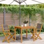 Sillas de jardín 2 uds madera maciza acacia polipropileno gris de , Sillas de jardín - Ref: Foro24-367667, Precio: 141,52 €, ...