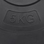 Placas de pesas 4 uds cemento 30 kg de vidaXL, Peso libre - Ref: Foro24-93597, Precio: 77,77 €, Descuento: %