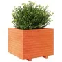 Jardinera madera maciza de pino marrón cera 60x60x49,5 cm de , Maceteros y jardineras - Ref: Foro24-3282521, Precio: 157,14 €...