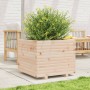 Jardinera madera maciza de pino 60x60x49,5 cm de , Maceteros y jardineras - Ref: Foro24-3282519, Precio: 133,04 €, Descuento: %