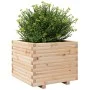 Jardinera madera maciza de pino 60x60x49,5 cm de , Maceteros y jardineras - Ref: Foro24-3282519, Precio: 131,33 €, Descuento: %