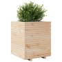 Jardinera madera maciza de pino 60x60x72 cm de , Maceteros y jardineras - Ref: Foro24-3282614, Precio: 184,45 €, Descuento: %