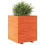 Jardinera exterior madera maciza pino marrón cera 60x60x72 cm de , Maceteros y jardineras - Ref: Foro24-3282616, Precio: 220,...