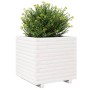 Jardinera madera maciza de pino blanco 50x50x49,5 cm de , Maceteros y jardineras - Ref: Foro24-3282515, Precio: 134,92 €, Des...