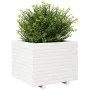 Jardinera madera maciza de pino blanco 60x60x49,5 cm de , Maceteros y jardineras - Ref: Foro24-3282520, Precio: 157,14 €, Des...