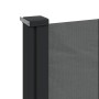 Toldo lateral retráctil gris antracita 220x600 cm de , Sombrillas - Ref: Foro24-4004578, Precio: 143,28 €, Descuento: %