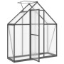 Invernadero con marco base aluminio antracita 169x58x195 cm de , Invernaderos - Ref: Foro24-4005818, Precio: 362,13 €, Descue...