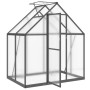 Invernadero con marco base aluminio antracita 169x114x195 cm de , Invernaderos - Ref: Foro24-4005824, Precio: 457,56 €, Descu...