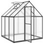 Invernadero con marco base aluminio antracita 169x169x195 cm de , Invernaderos - Ref: Foro24-4005830, Precio: 460,28 €, Descu...