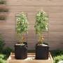 Tutor para tomates con bolsa 2 uds de acero y PP 116 cm de , Soportes para macetas - Ref: Foro24-4009284, Precio: 55,50 €, De...