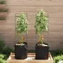 Tutor para tomates con bolsa 2 uds de acero y PP 116 cm de , Soportes para macetas - Ref: Foro24-4009284, Precio: 51,33 €, De...