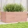 Jardinera madera maciza de abeto Douglas 110x60x46 cm de , Maceteros y jardineras - Ref: Foro24-3282462, Precio: 170,49 €, De...