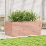 Jardinera madera maciza de abeto Douglas 110x60x46 cm de , Maceteros y jardineras - Ref: Foro24-3282462, Precio: 172,69 €, De...
